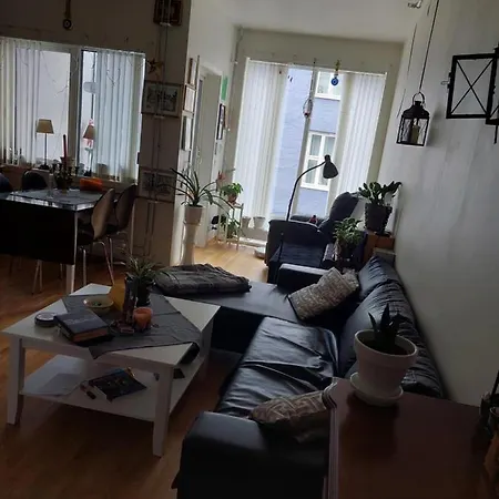 Shared Apartment, Down Town Oslo, Osterhaus'gate 10 公寓 *